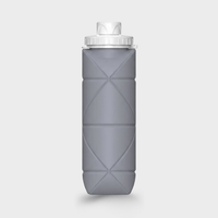 Foldable Silicone Water Bottle